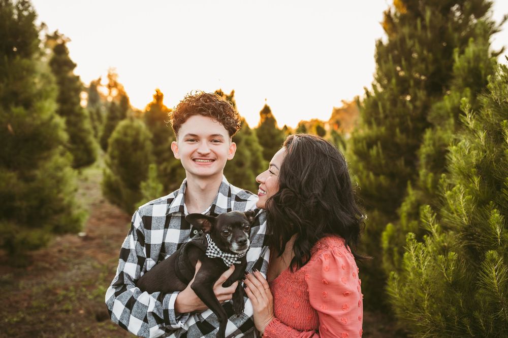 A couple shares a sweet moment while taking photos at a Christmas tree farm during golden hour.