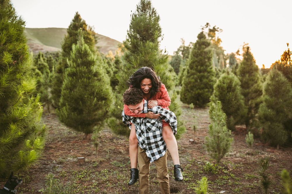 Someone visits a Christmas tree farm during golden hour surrounded by evergreen trees at sunset.