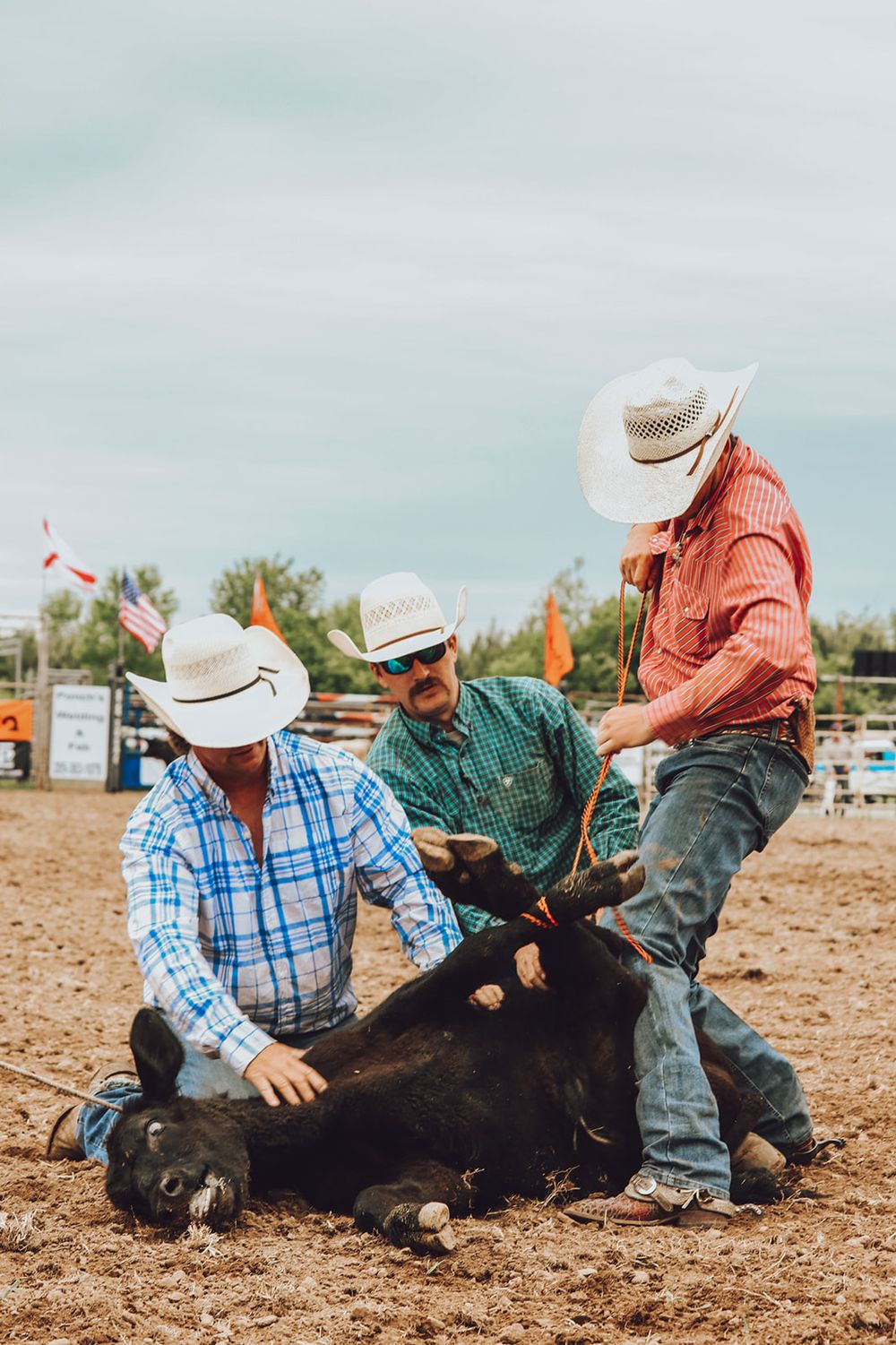 Three cowboys in cowboy hats work together to wrangle a black calf in a dusty rodeo arena.