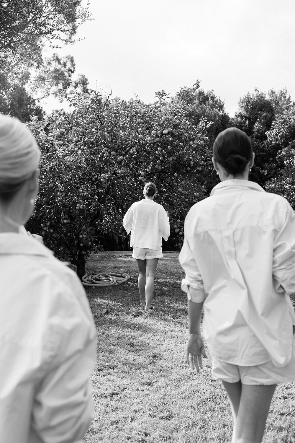 Three black and white photos show people in white clothing walking through an orchard on a sunny day.