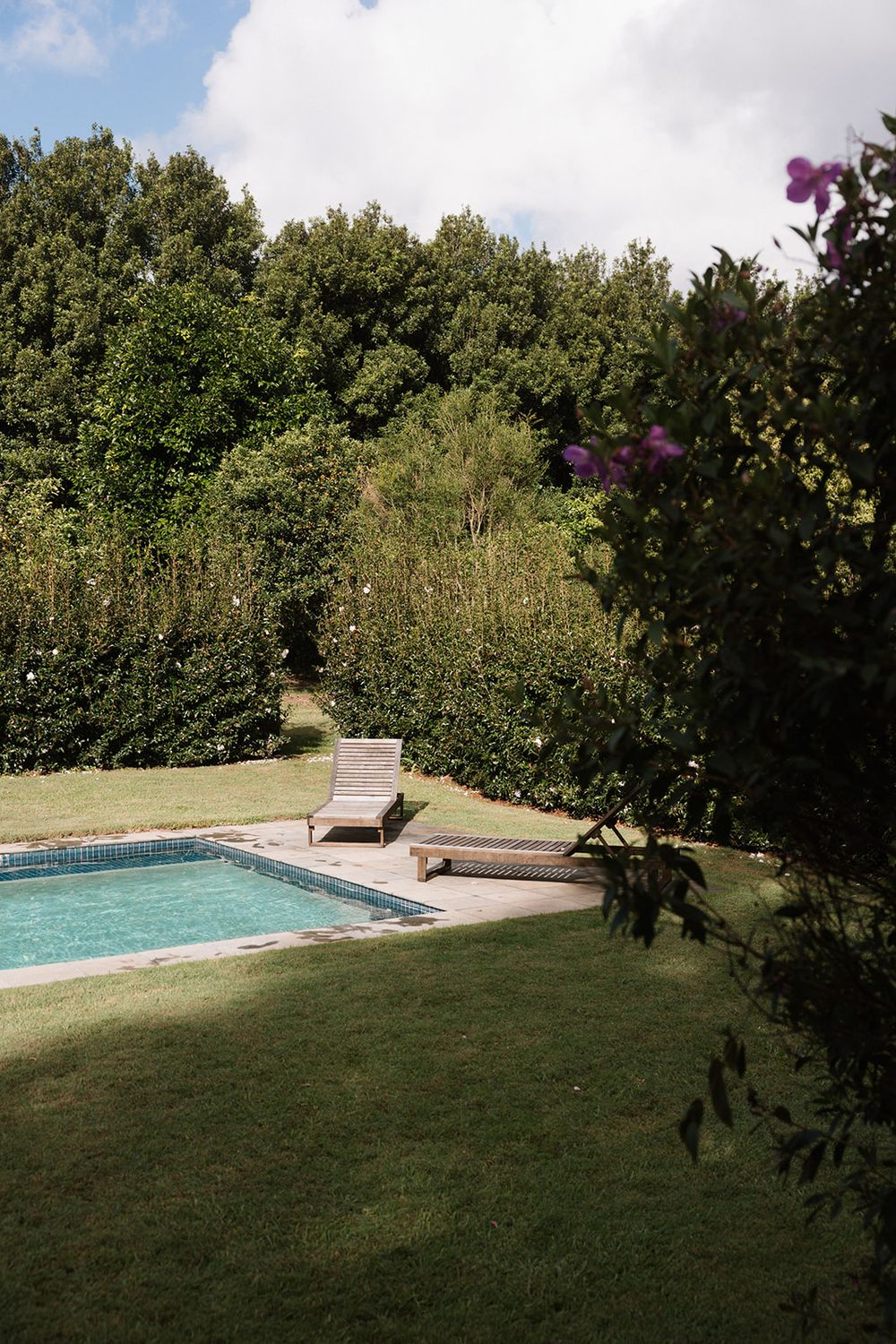 Tranquil swimming pool surrounded by lush green lawn and trees in a private backyard setting.