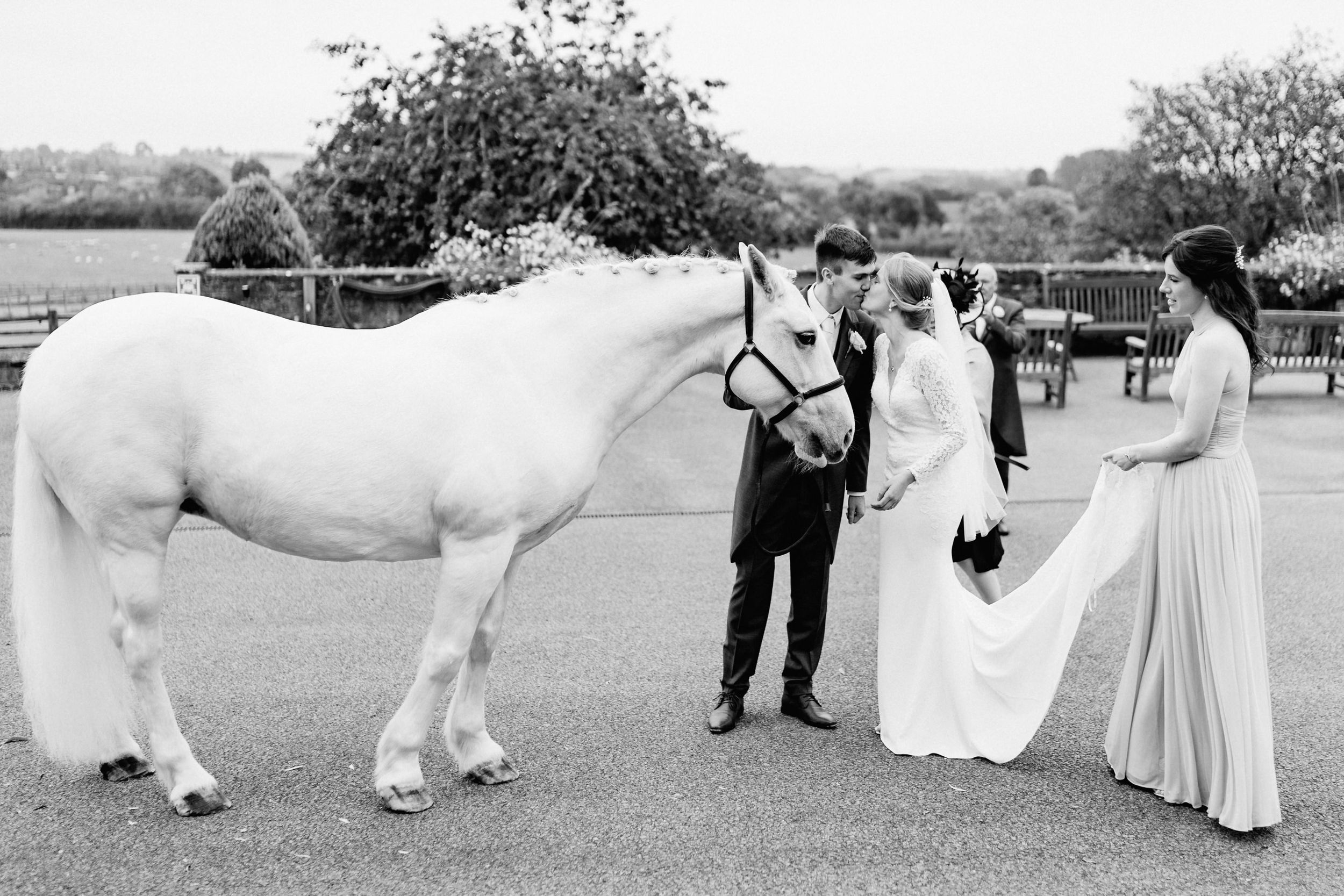 Beautiful white horse poses with wedding party outdoors.