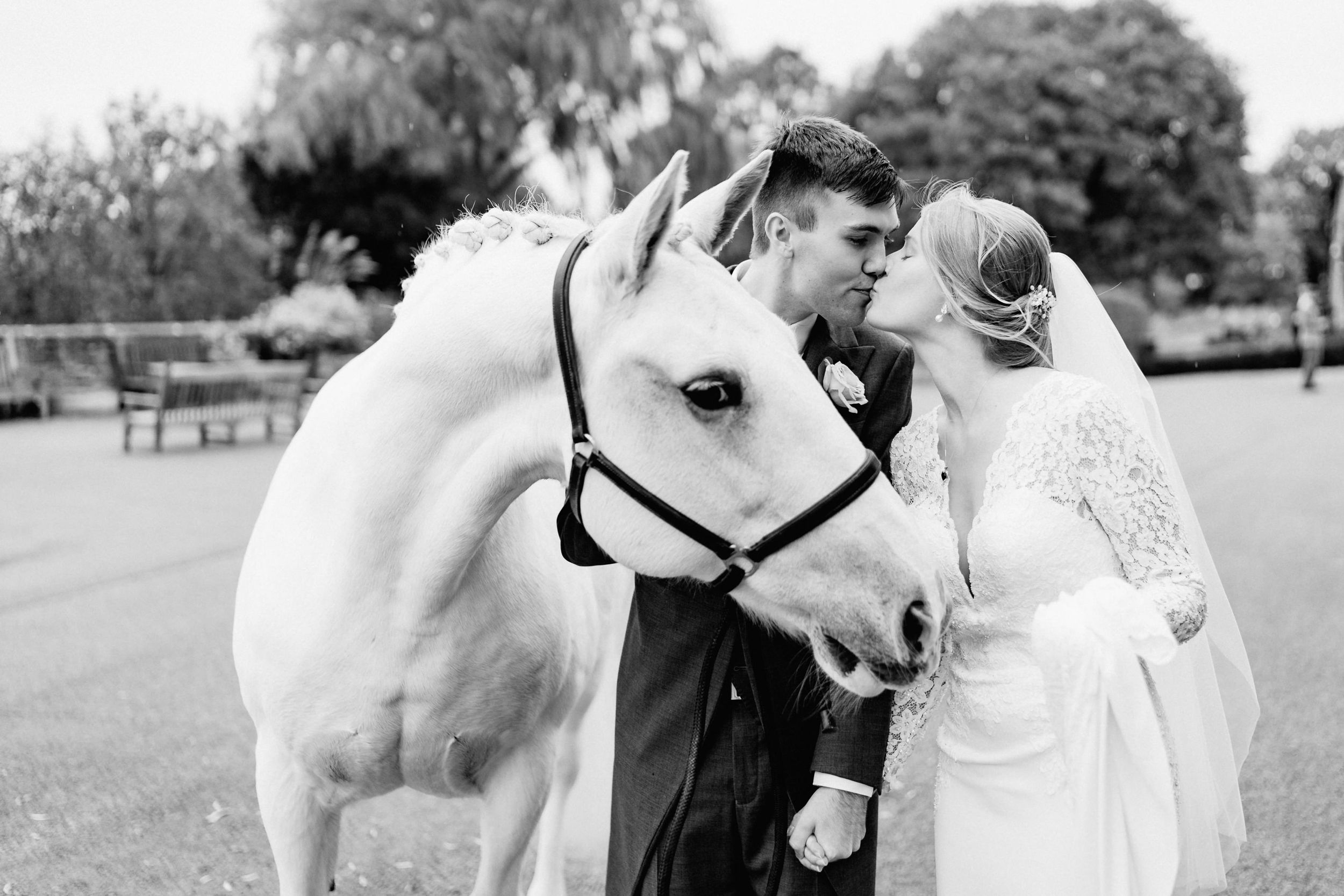 Intimate moment with white horse during countryside wedding photoshoot at Crockwell Farm, Northamptonshire.