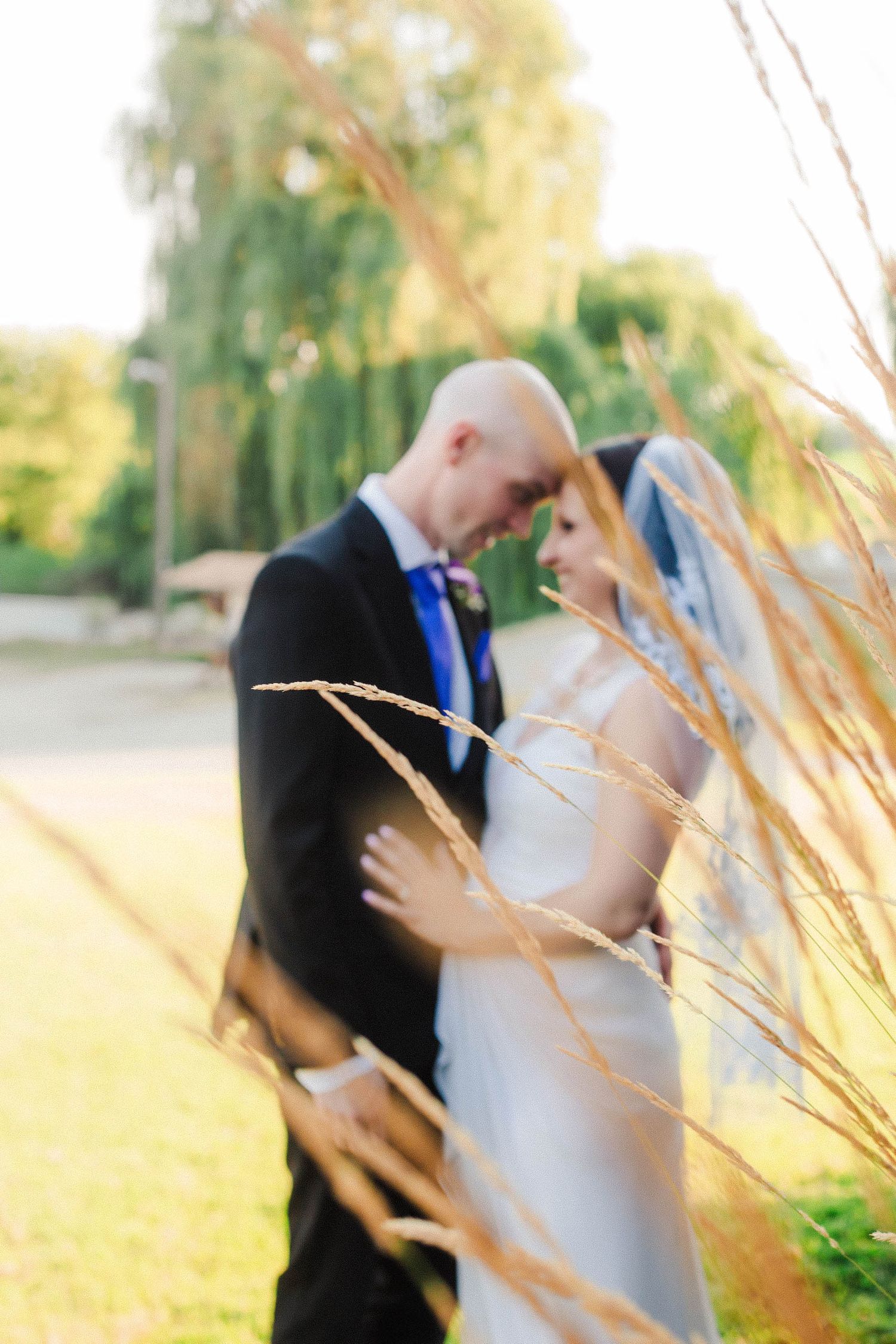Artistic wedding portrait through golden wheat stalks at sunset creating romantic bokeh effect in outdoor setting.