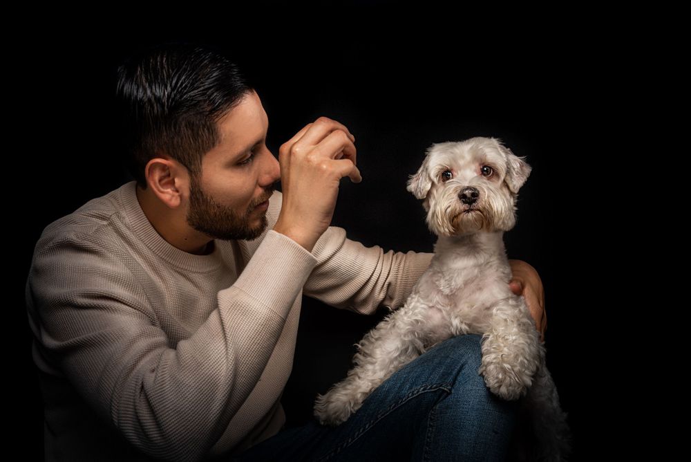 A person in a gray sweater photographs a small white fluffy dog against a dark background.