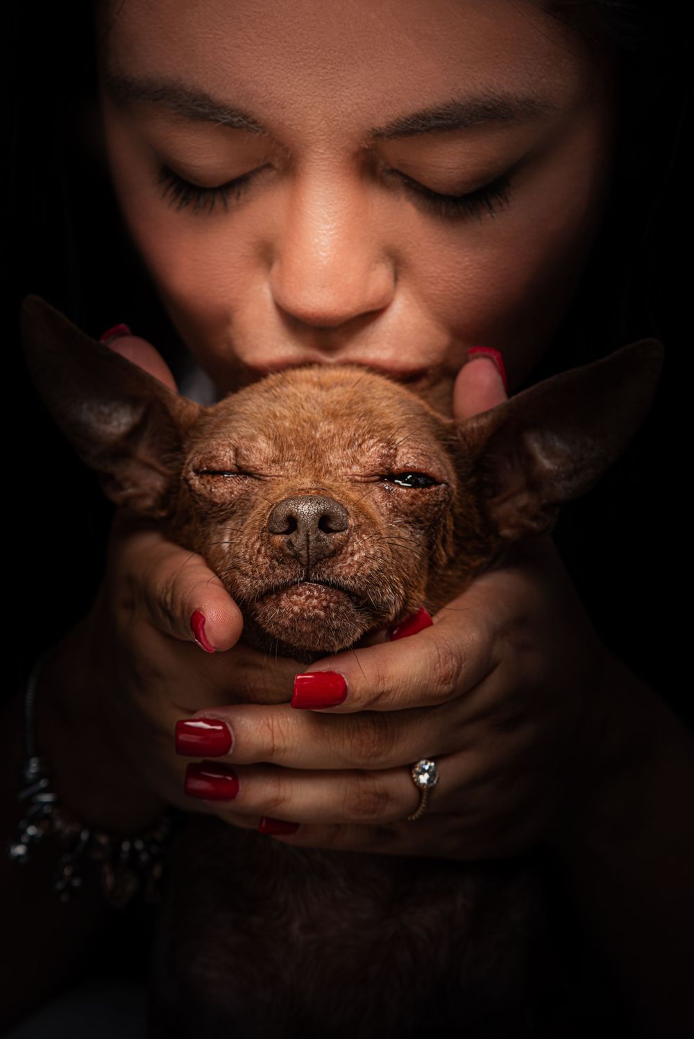A sleepy Chihuahua dog with closed eyes is held gently by hands with red painted nails against a dark background.