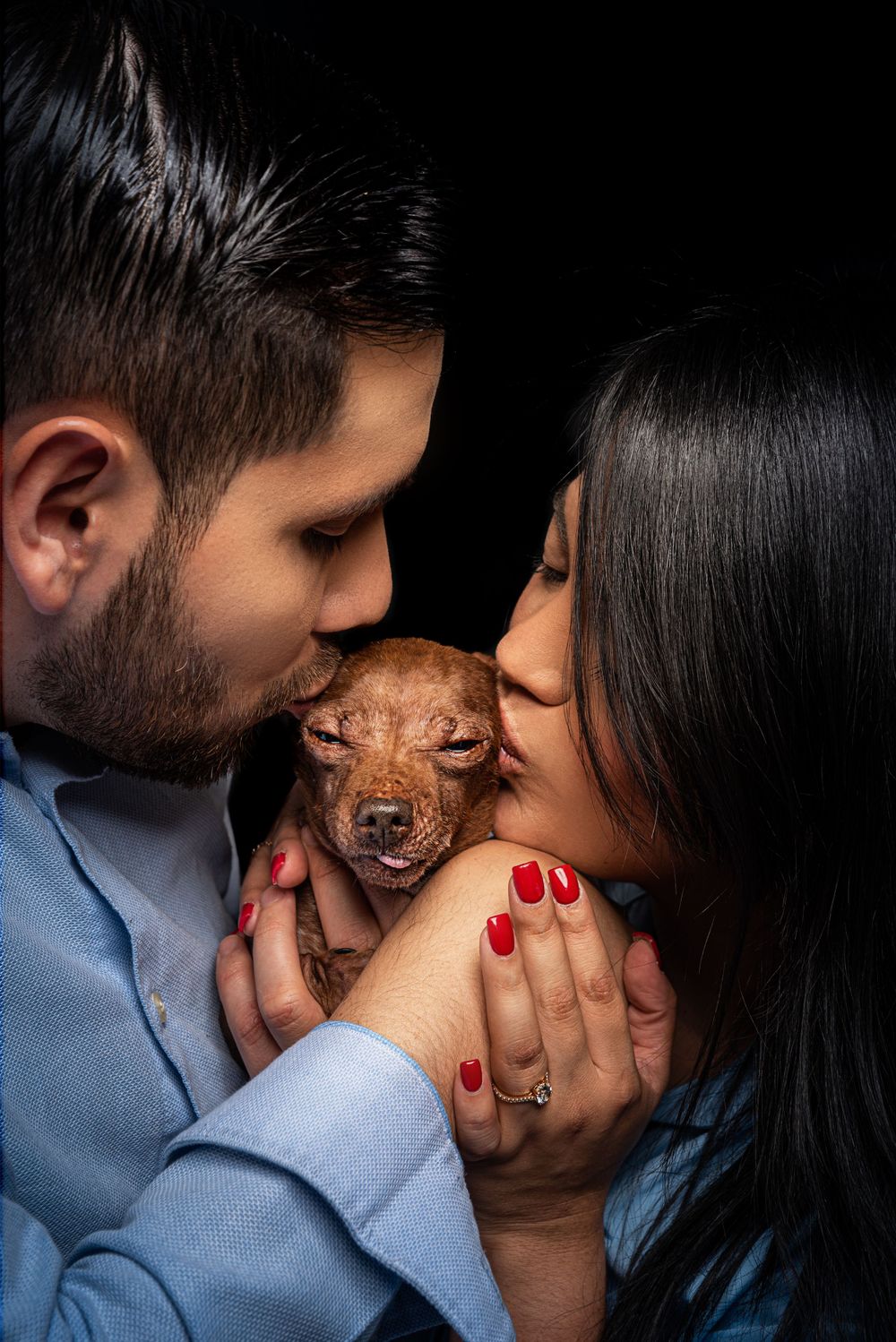 Small brown Chihuahua held lovingly between two people.