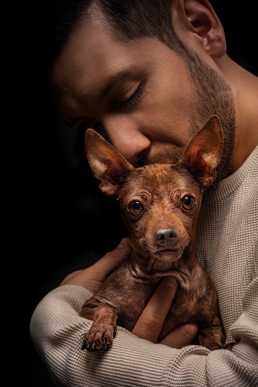 A close-up portrait of a miniature pinscher puppy being held lovingly against a dark background.