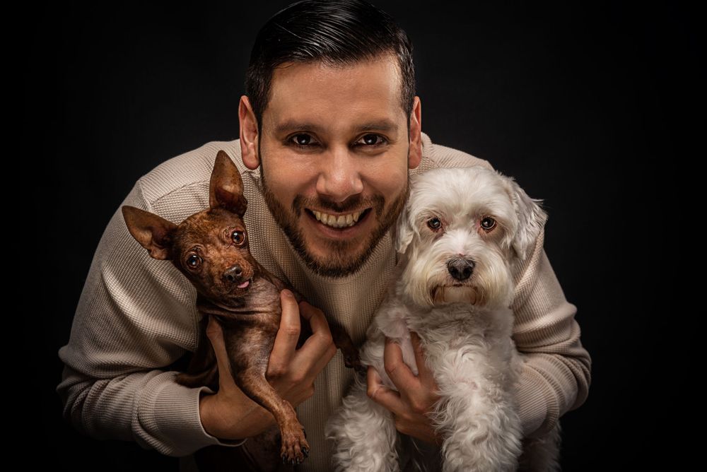Two small dogs, a brown and white one, being held and cuddled against a black background.