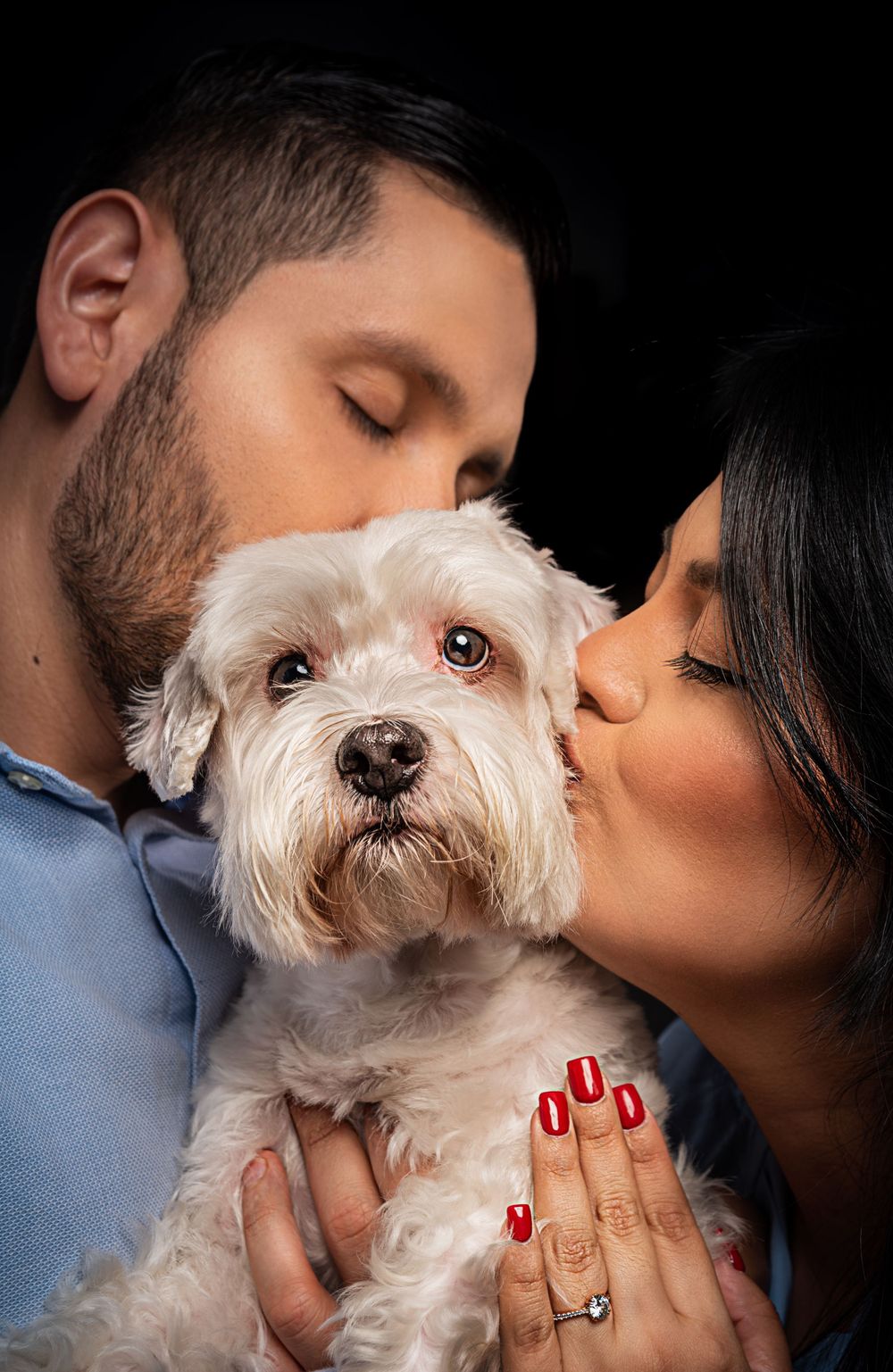 White terrier dog being embraced and kissed against black background.