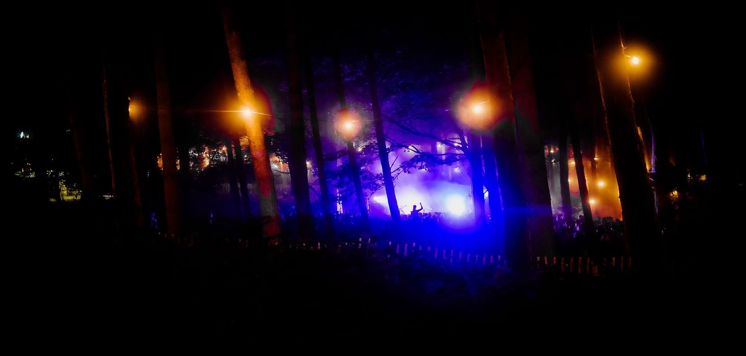 Atmospheric nighttime scene with trees silhouetted against glowing blue and orange lights in the darkness.