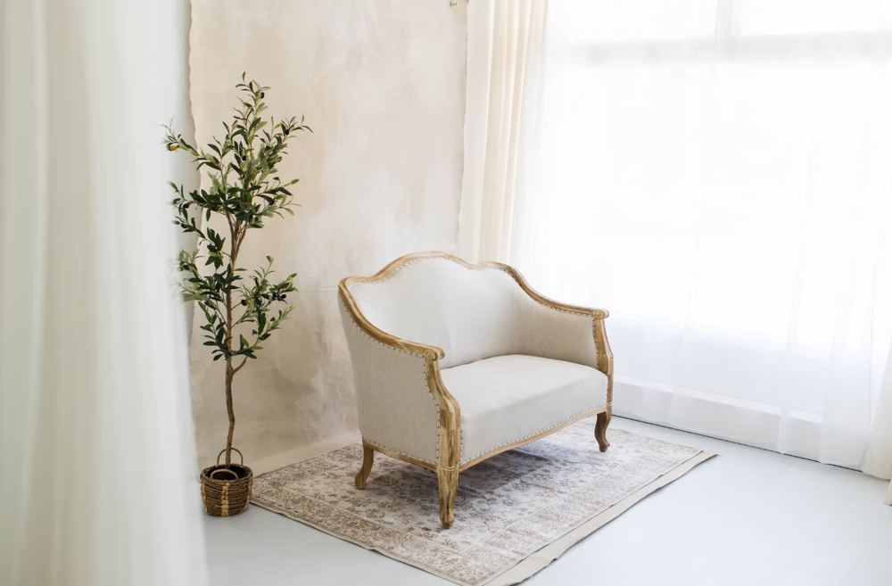 Elegant cream-colored French provincial chair sits in a bright white room with potted plant and sheer curtains.