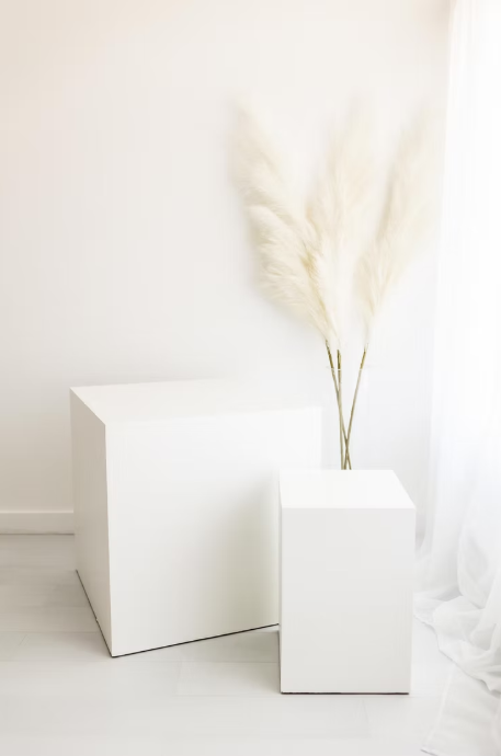 A minimalist sequence showing a white reed diffuser with thin reeds against a pure white background.