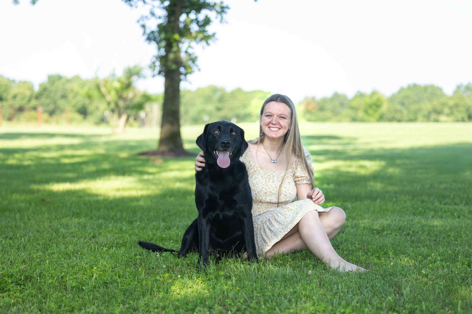 A friendly black Labrador retriever sits on grass with a girl in a light summer dress on a sunny day.