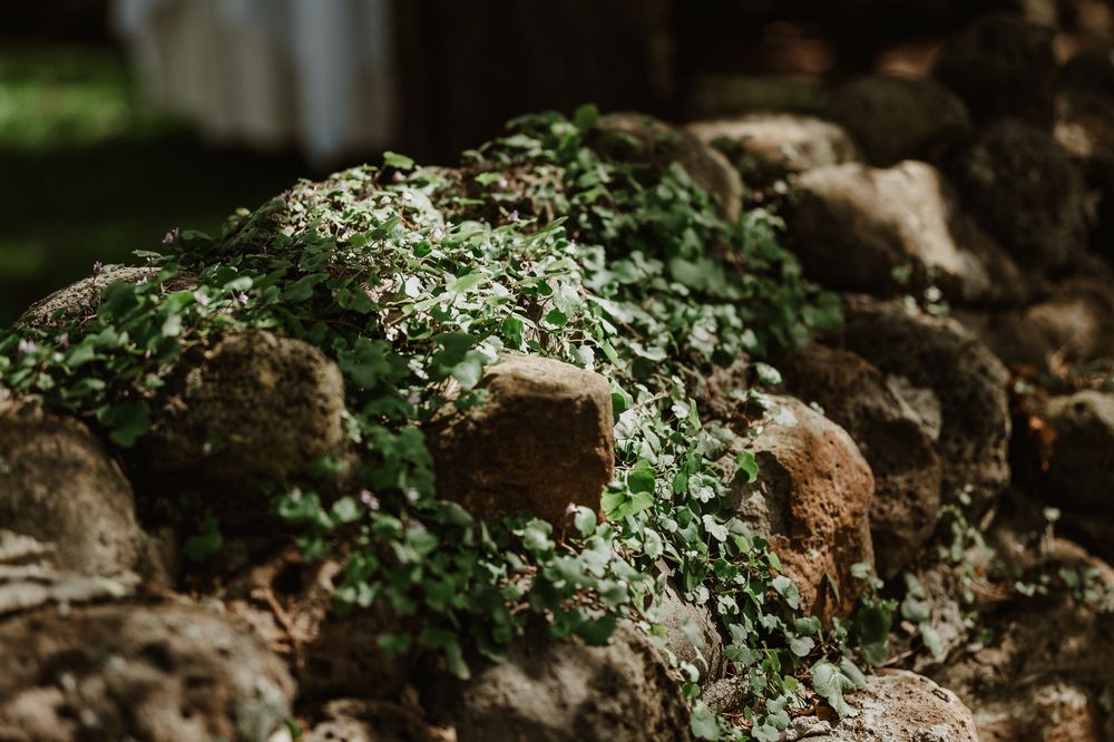 Elegant & sophisticated wedding in Tasmania. Situated at Stonefield, captured by wedding & elopement specialist Joss Jensen Photography