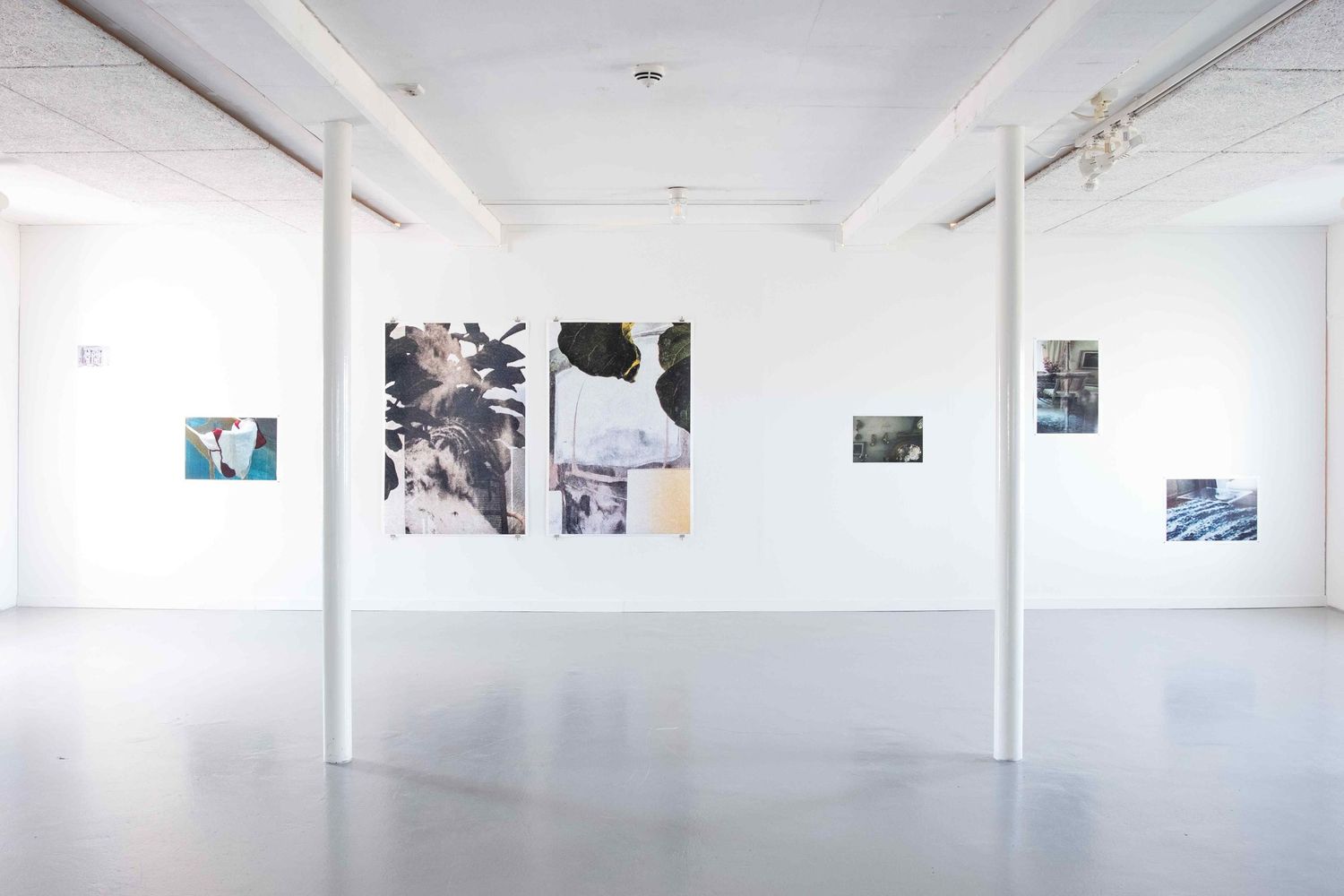 Minimalist white gallery space with framed photographs displayed on pristine walls.