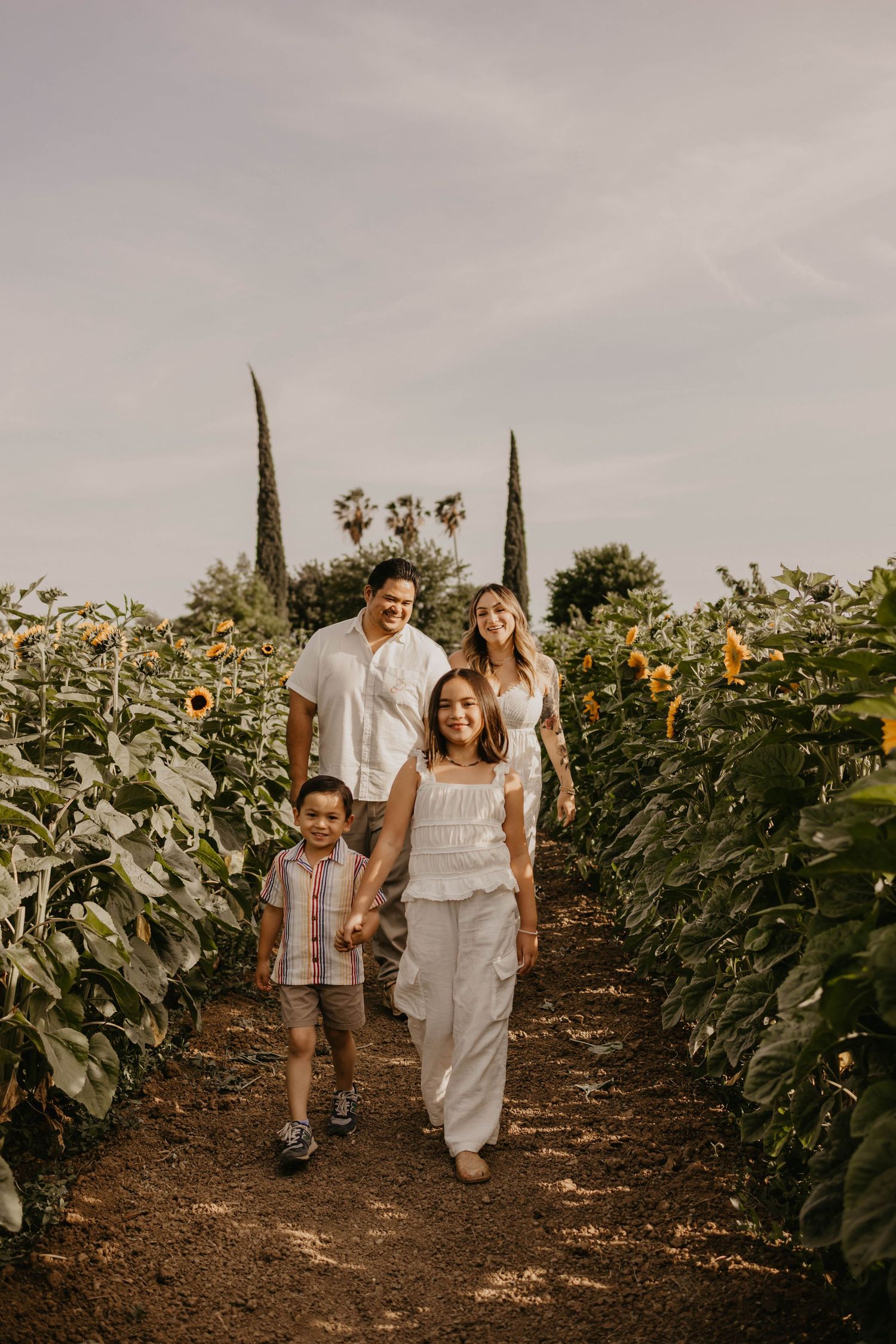 A family walks through a picturesque sunflower field at sunset with tall cypress trees in the background.