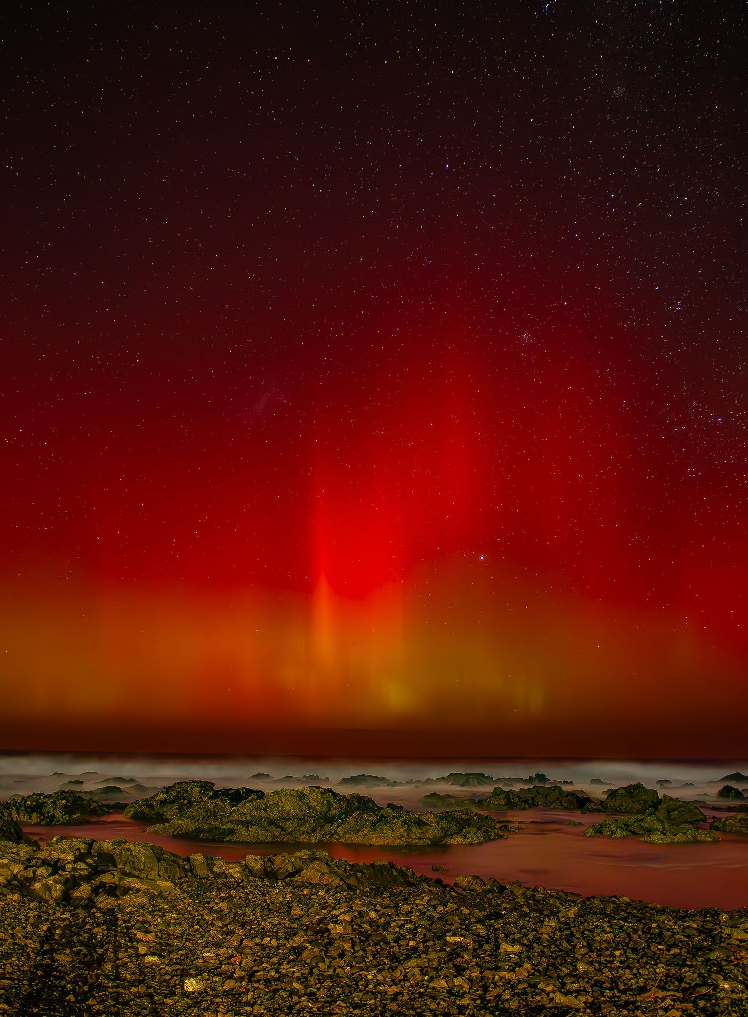 Red aurora borealis glows intensely over a darkened rural landscape with wildflowers in the foreground.
