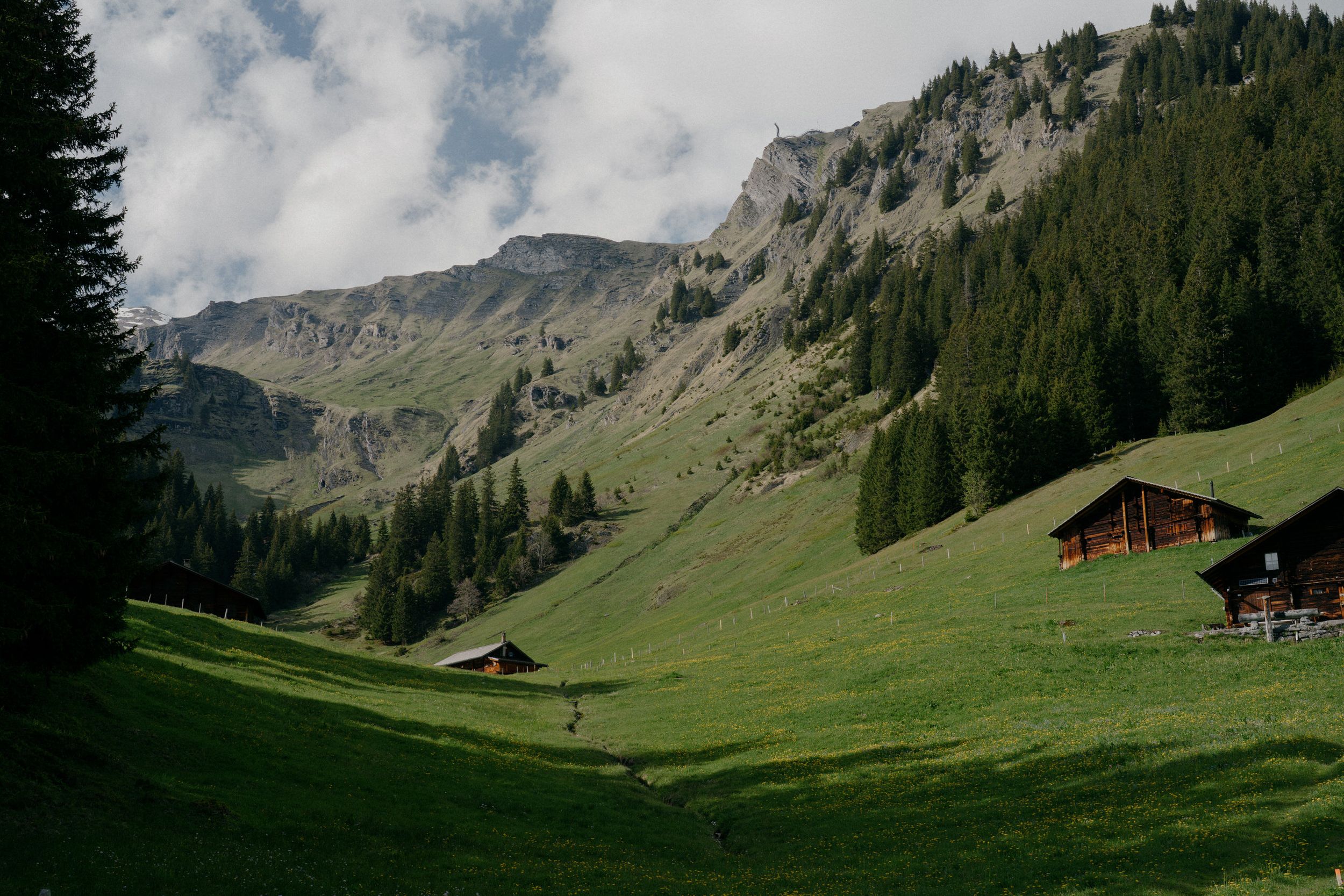 Alpine mountain landscape with wooden chalets nestled in a green valley surrounded by forested peaks and rocky cliffs.