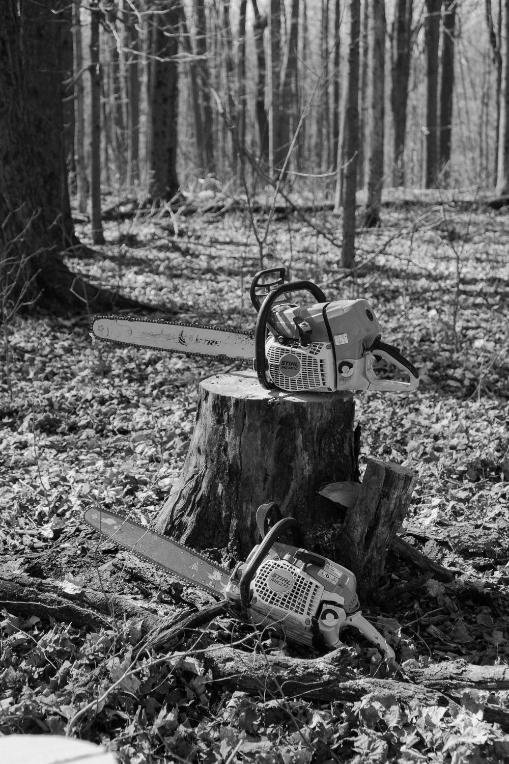 Two chainsaws resting on a tree stump in a misty forest, captured in black and white.