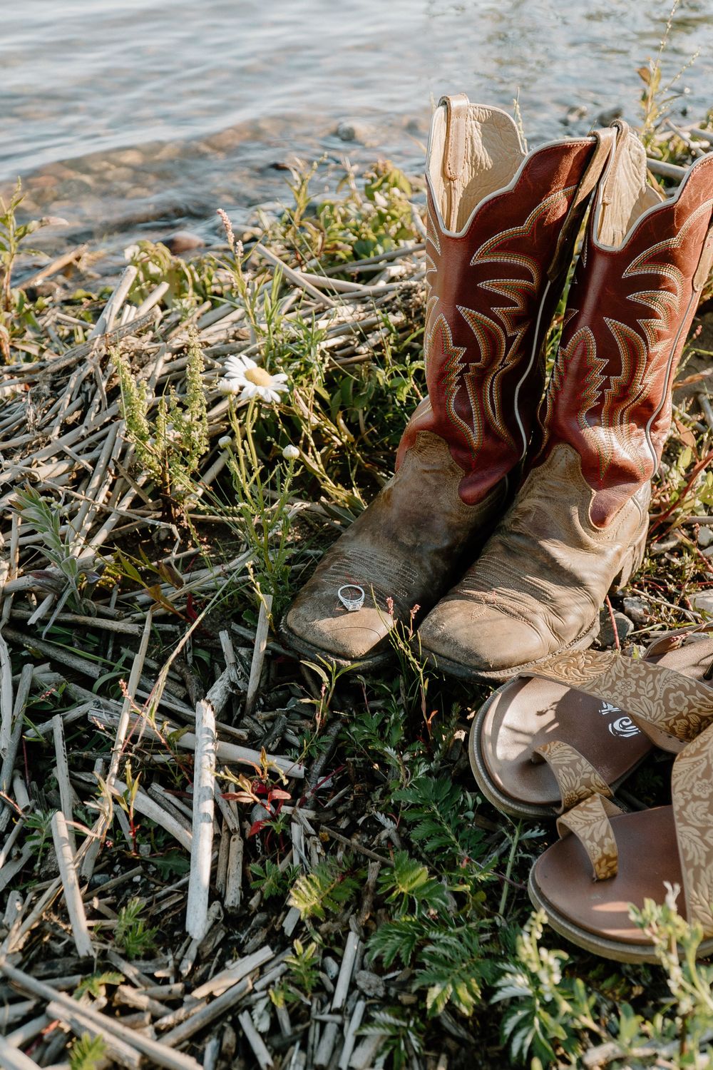Worn brown cowboy boots sitting on shoreline among dried grass and reeds.