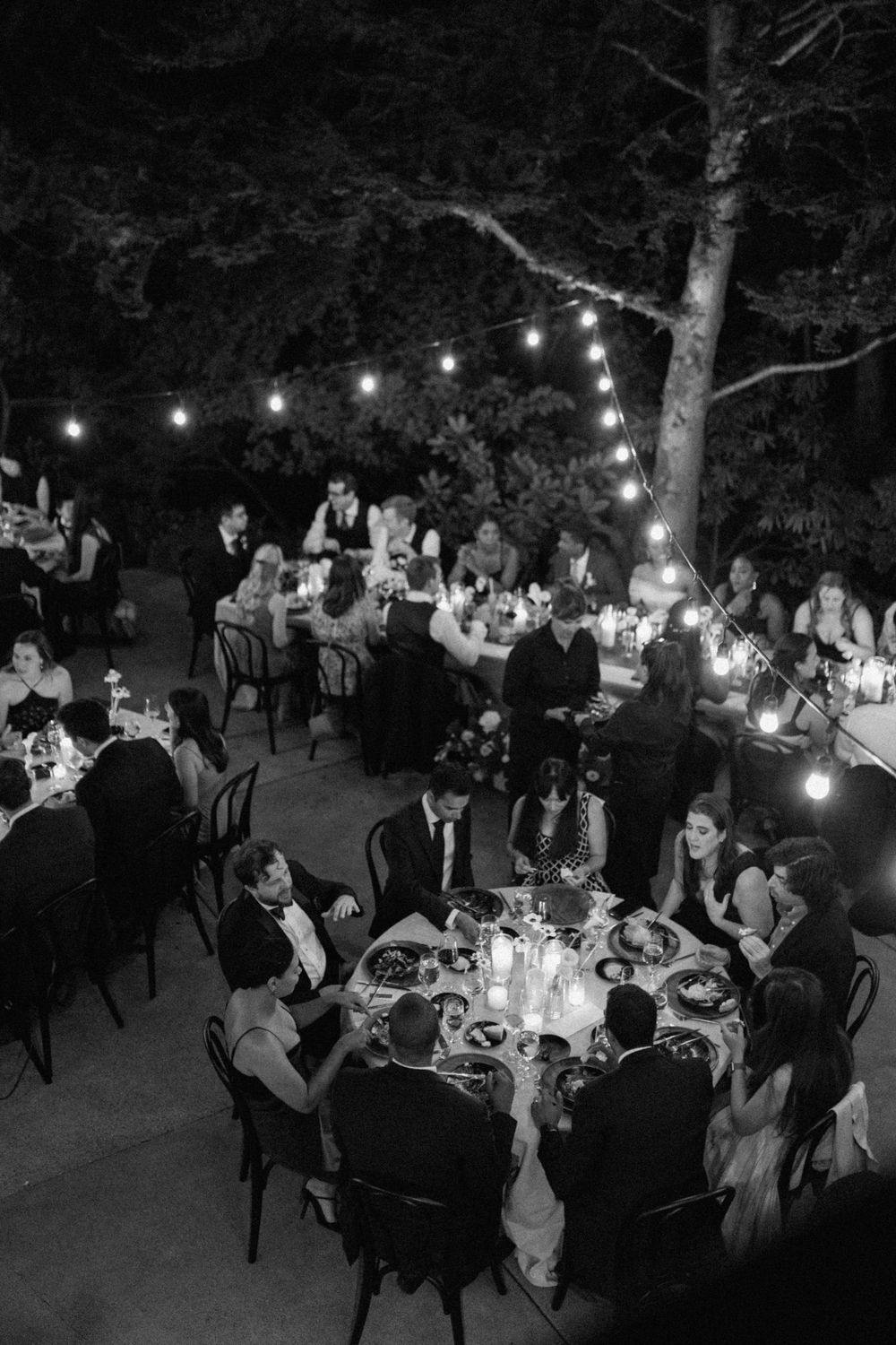 Black and white photo of an outdoor evening wedding reception with string lights and guests seated around elegant dinner tables.