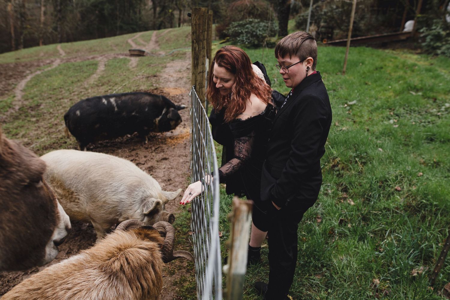 Two people in dark clothing lean over a fence to look at farm animals grazing in a grassy pasture.
