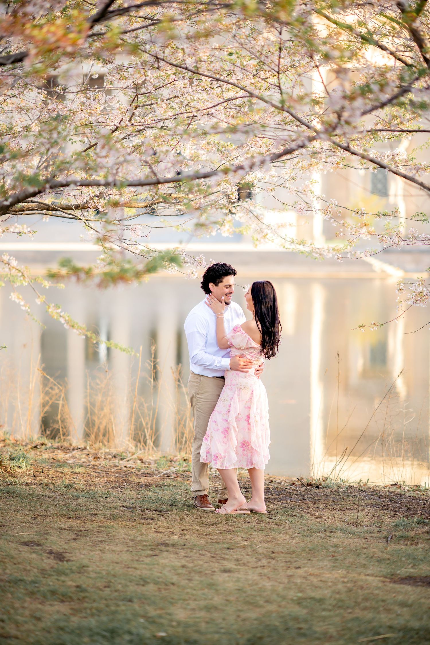 A romantic spring scene under blooming cherry trees beside a lake during golden hour lighting.