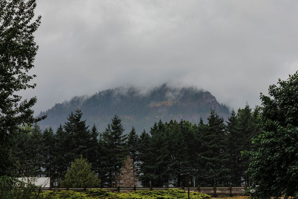 Misty mountain landscape with evergreen trees and cloudy skies creates a moody backdrop.