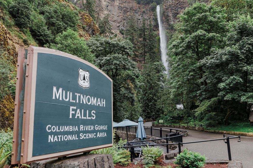 Scenic Multnomah Falls waterfall viewpoint surrounded by lush green forest in Oregon.