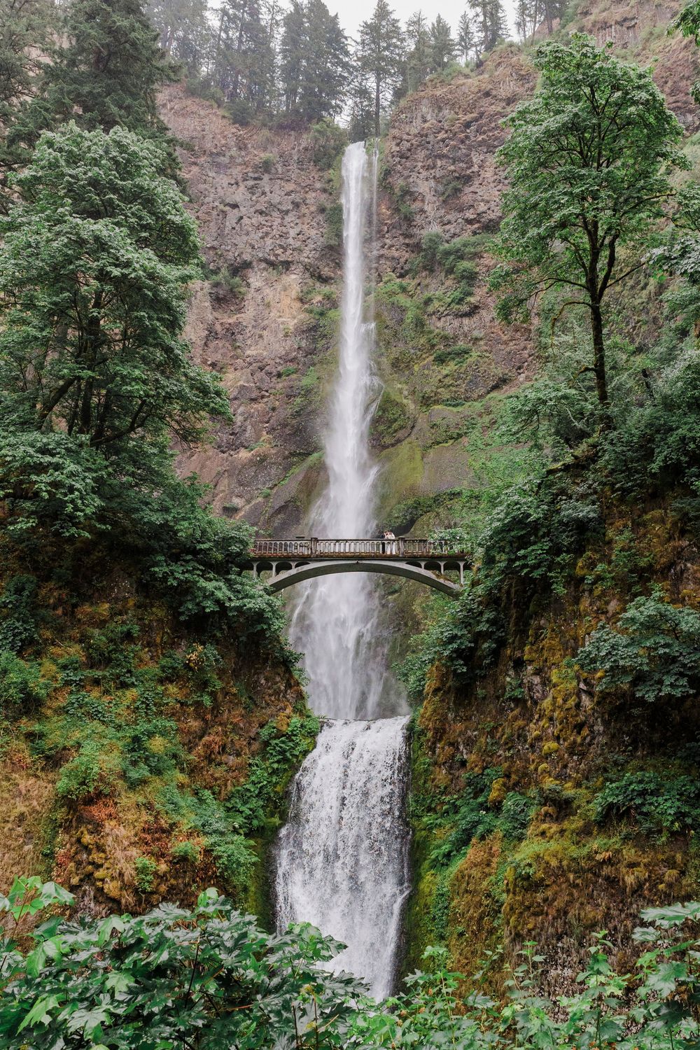 Majestic Multnomah Falls cascading through forested cliffs with viewing bridge in Oregon.