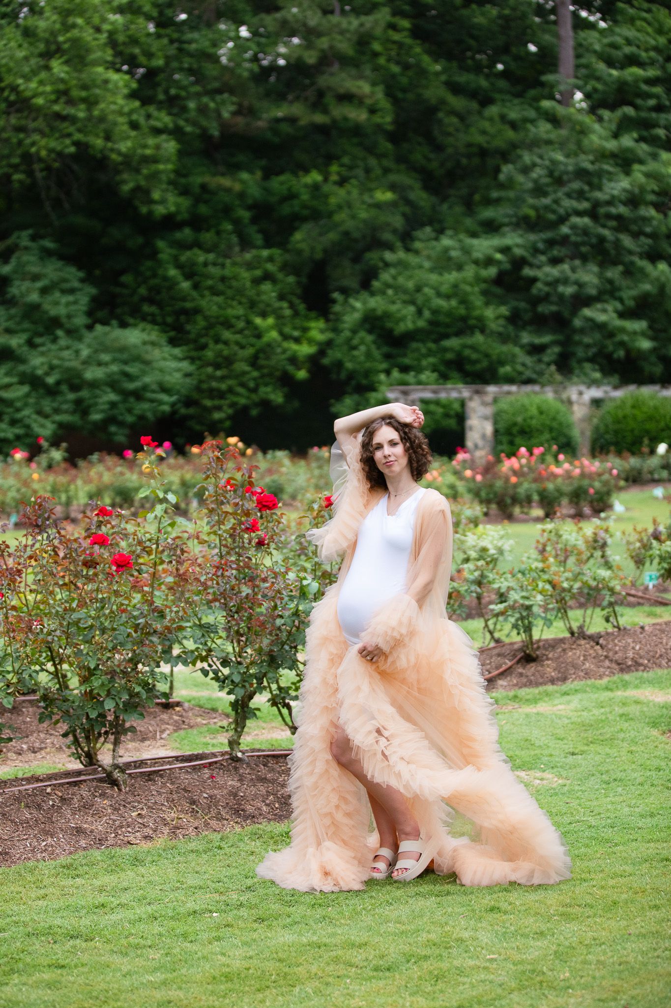 A romantic garden scene with someone posing in an elegant white gown and peach tulle skirt among blooming red roses.