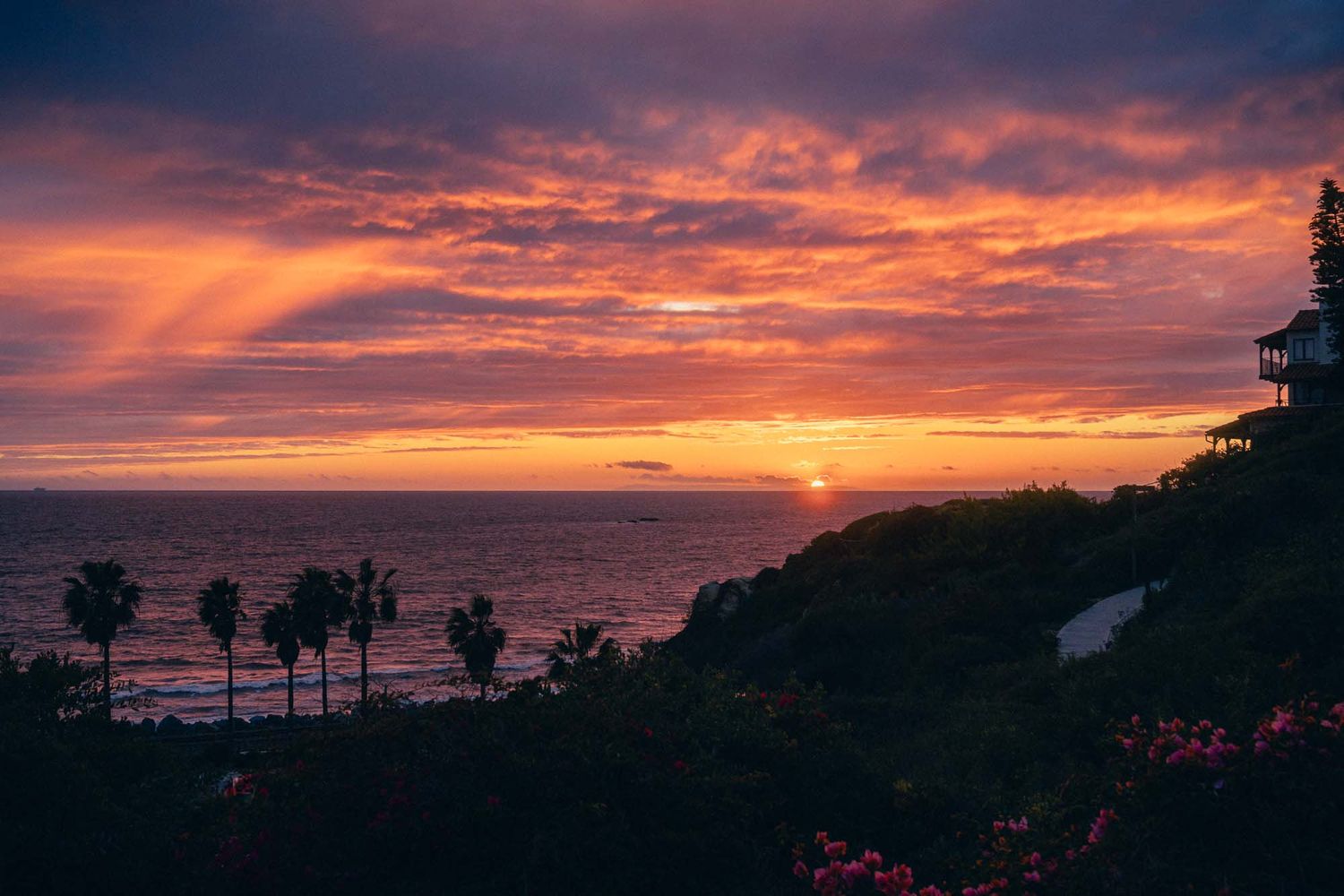 Palm trees silhouetted against a dramatic orange and purple sunset sky over the ocean horizon.