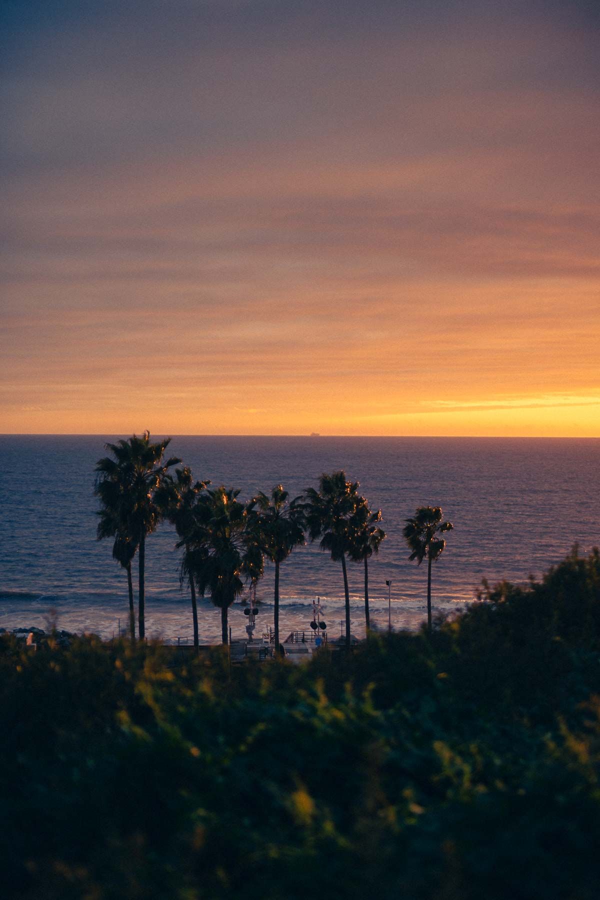 Palm trees silhouetted against a vibrant orange and purple sunset over the Pacific Ocean coastline.