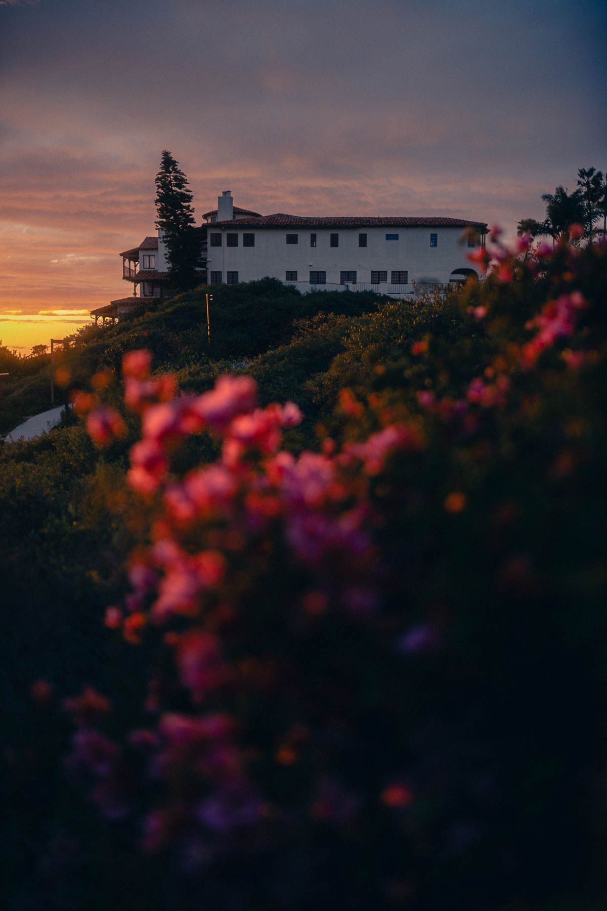 White hilltop house silhouetted against dramatic sunset sky with vibrant pink flowers in foreground.