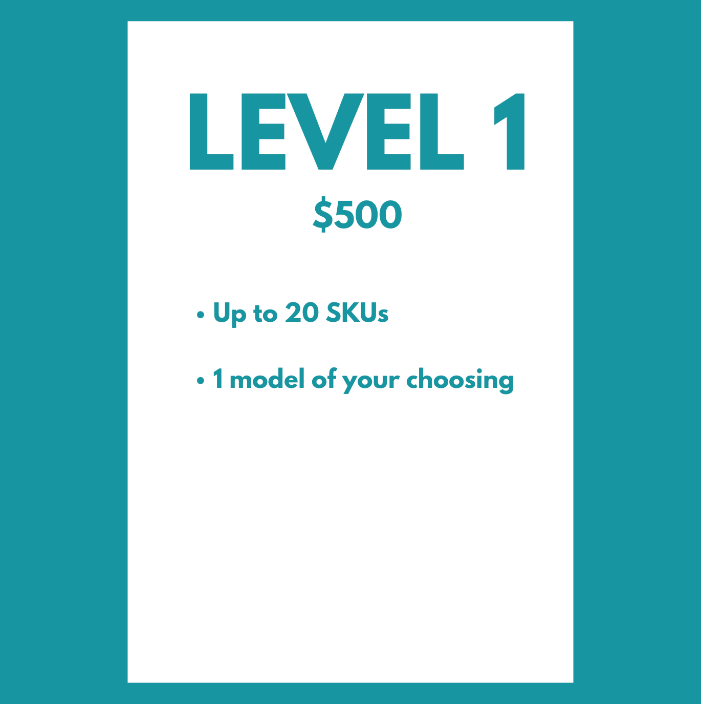 Level 1 garment photography pricing - $500