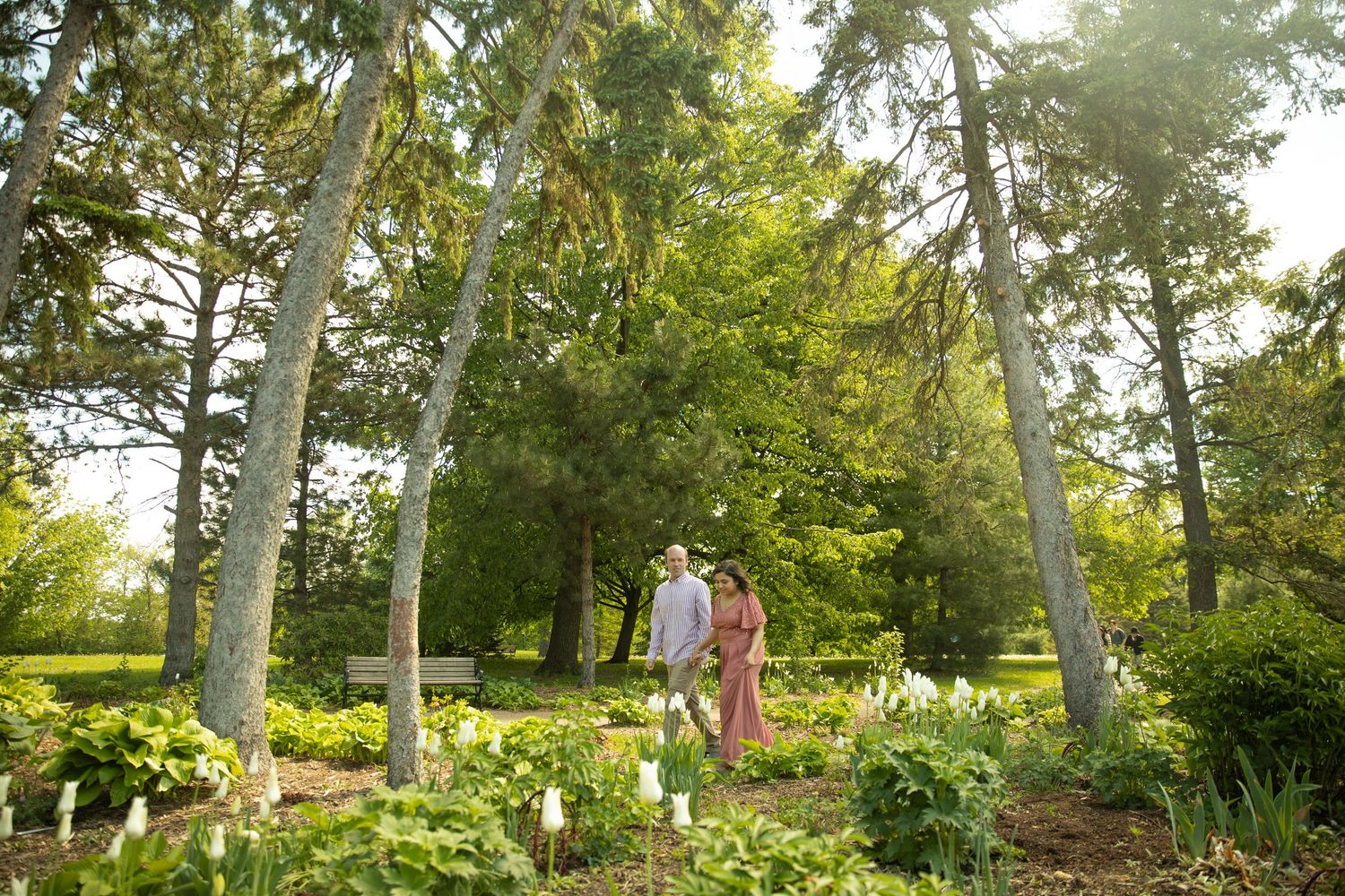 A romantic couple stands among yellow daylilies in a sunlit garden with tall trees creating a natural canopy.