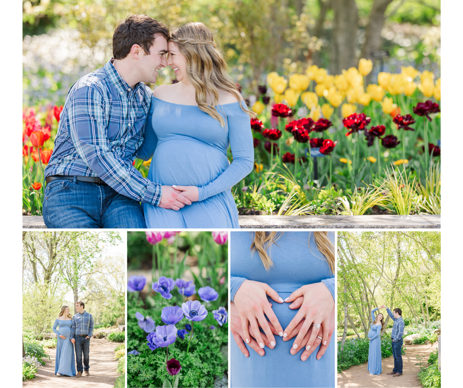 Spring maternity photo session in garden with vibrant tulips, purple alliums and flowering trees along a winding path at Chicago Botanic Gar