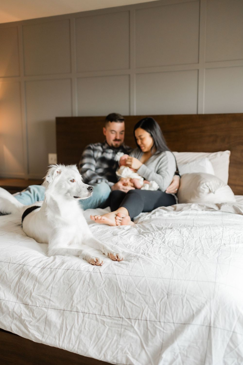 A family relaxes on a white bed with their white dog and newborn baby.