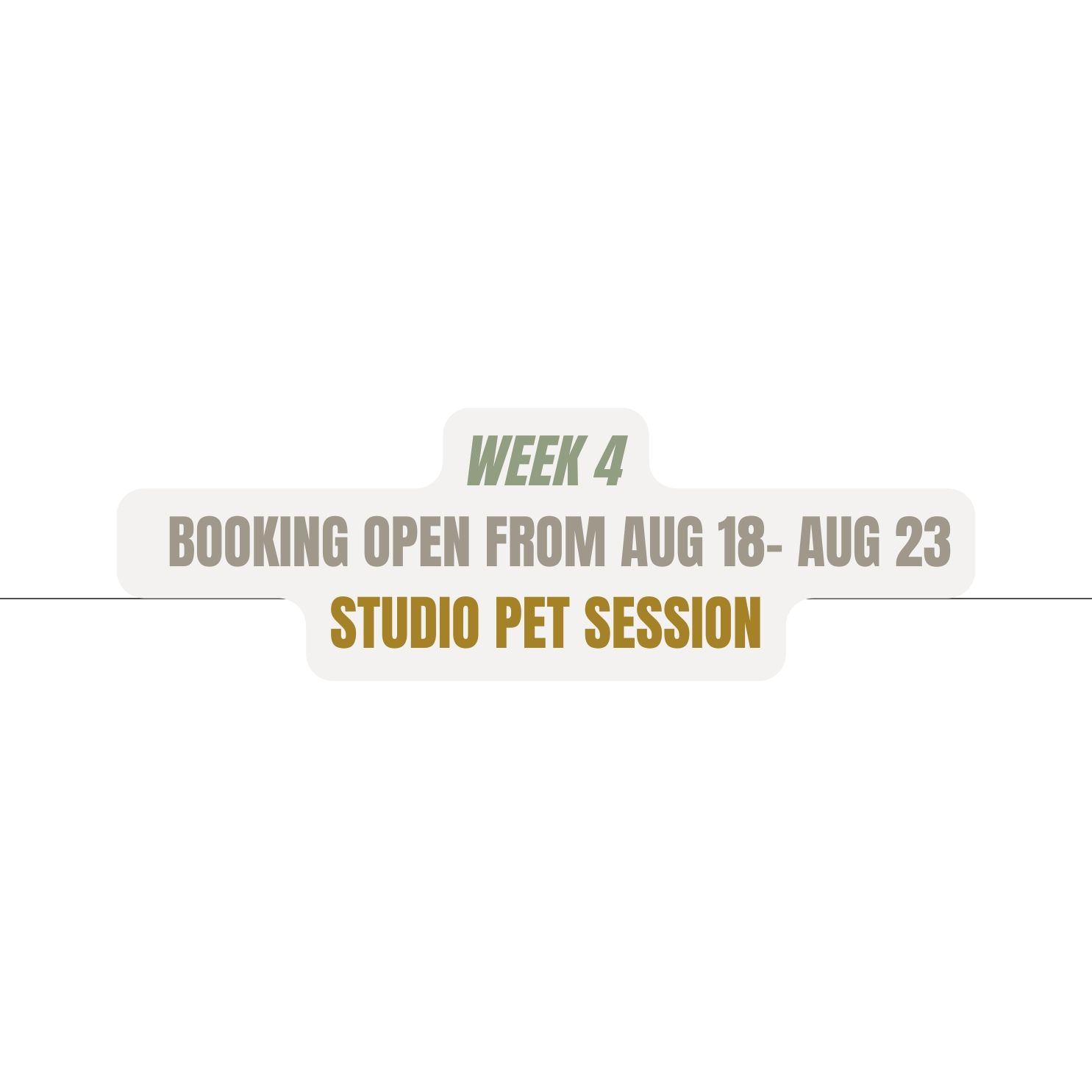 White text advertisement for Week 3 studio portrait session bookings for people and pets, open August 11-16.