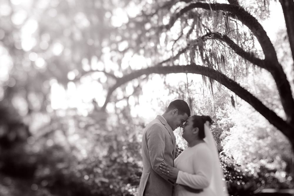 A romantic black and white photo of a couple embracing under a willow tree in a dreamy garden setting.