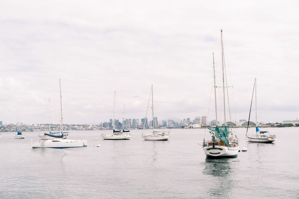 Sailboats anchored in a calm harbor with city skyline visible in the misty background.