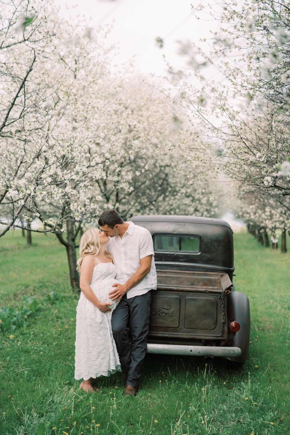 A romantic moment by a vintage black truck in a blooming spring orchard with white flowering trees.