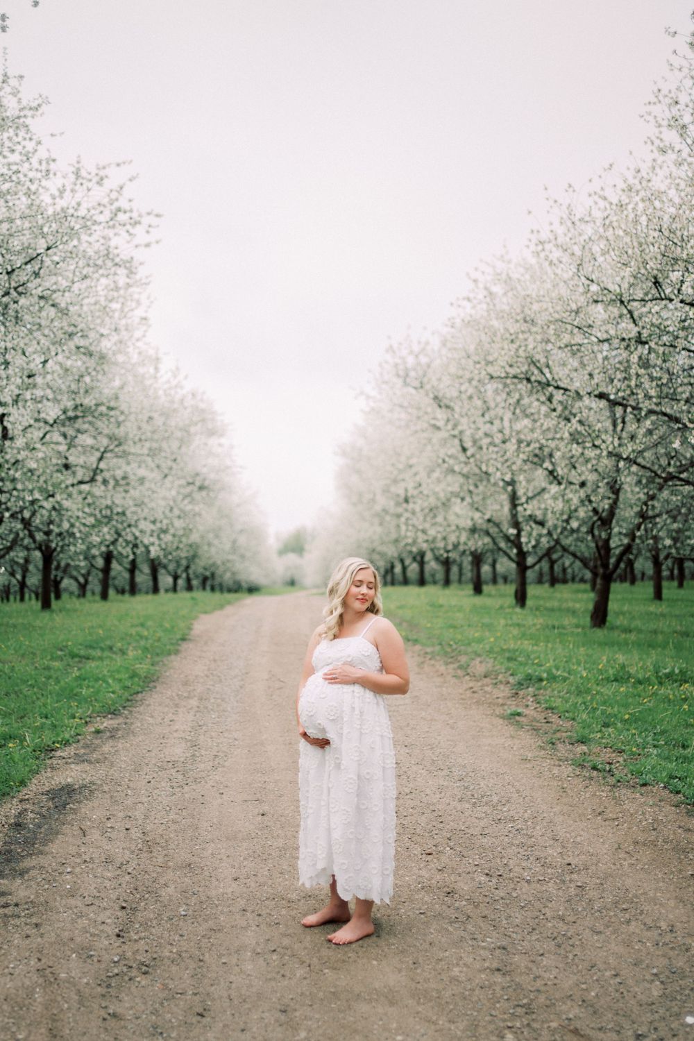 A springtime maternity photo in a blooming orchard with white flowering trees lining a rustic dirt road.