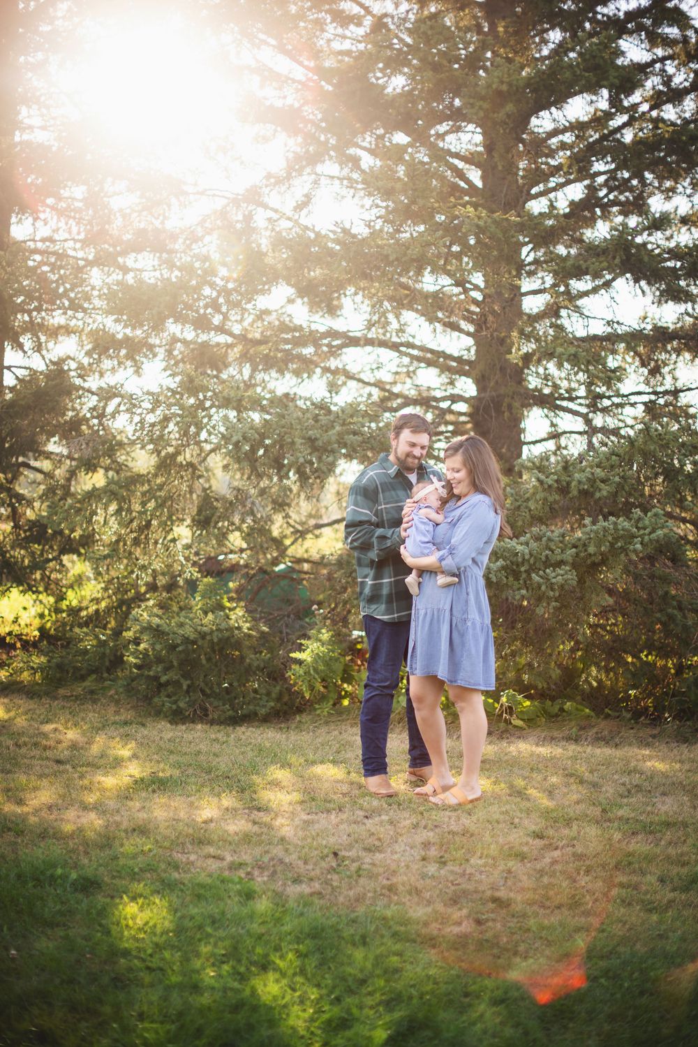 A couple stands close together near an evergreen tree during golden hour with sunlight filtering through branches.