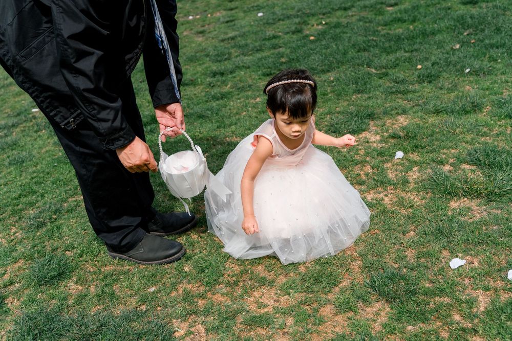 Toddler in white tulle dress picking up petals on grass during an outdoor event.