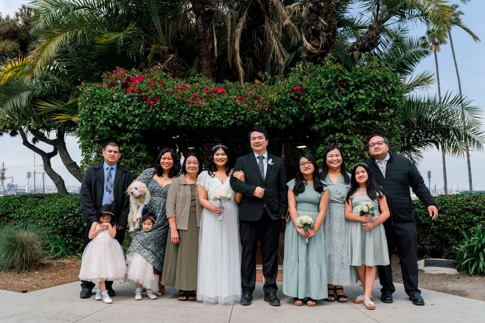 A wedding party poses in a garden setting with palm trees and tropical foliage in the background.