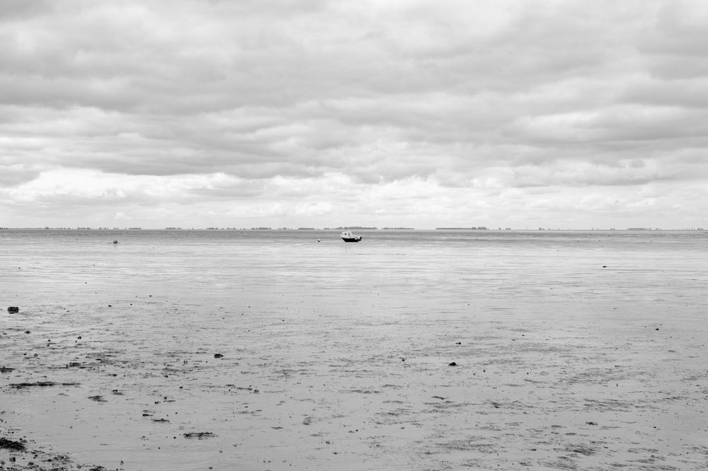 A tranquil black and white seascape with scattered rocks on the beach and cloudy skies over a calm ocean horizon.