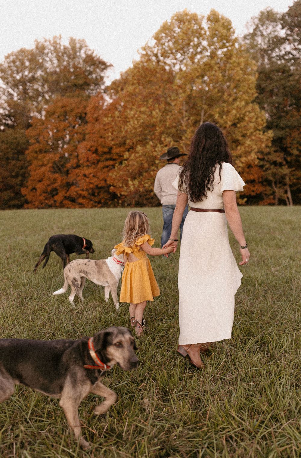 Woman in white dress walking with child and three dogs in autumn field.