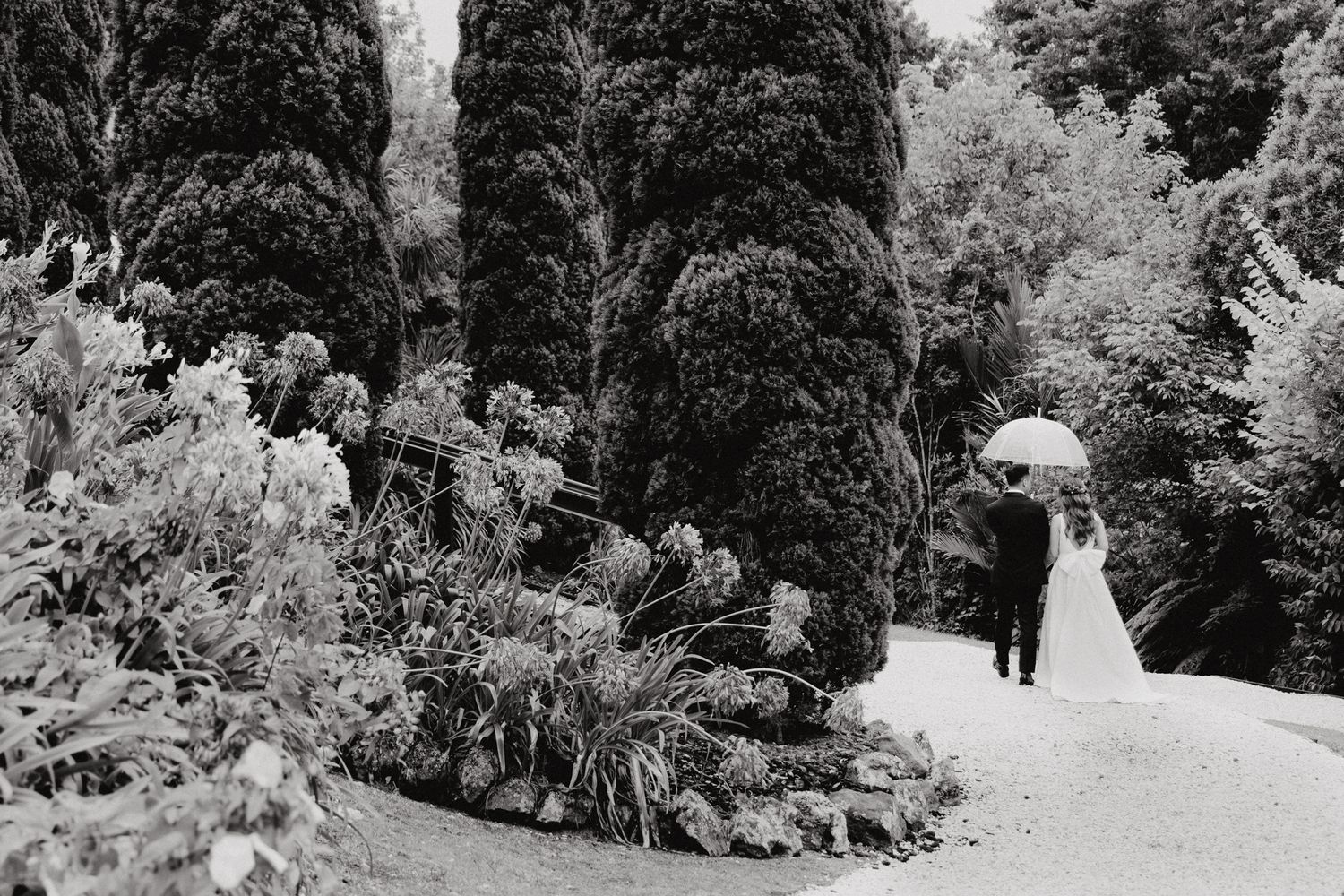 A couple in a scenic garden pathway lined with tall cypress trees captured by Apertured Media Auckland Wedding Photographer.